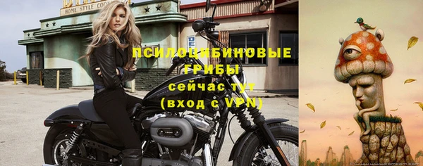мет Рославль