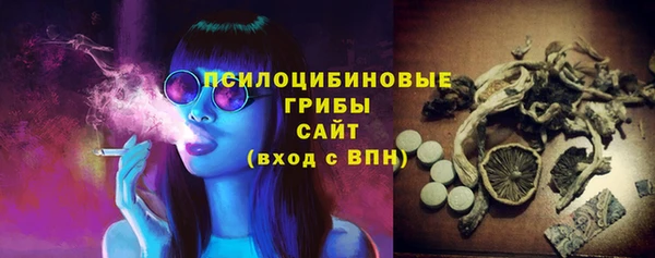 apvp Алексин