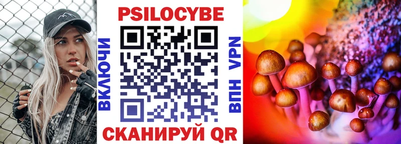 Галлюциногенные грибы Psilocybe  Бокситогорск 